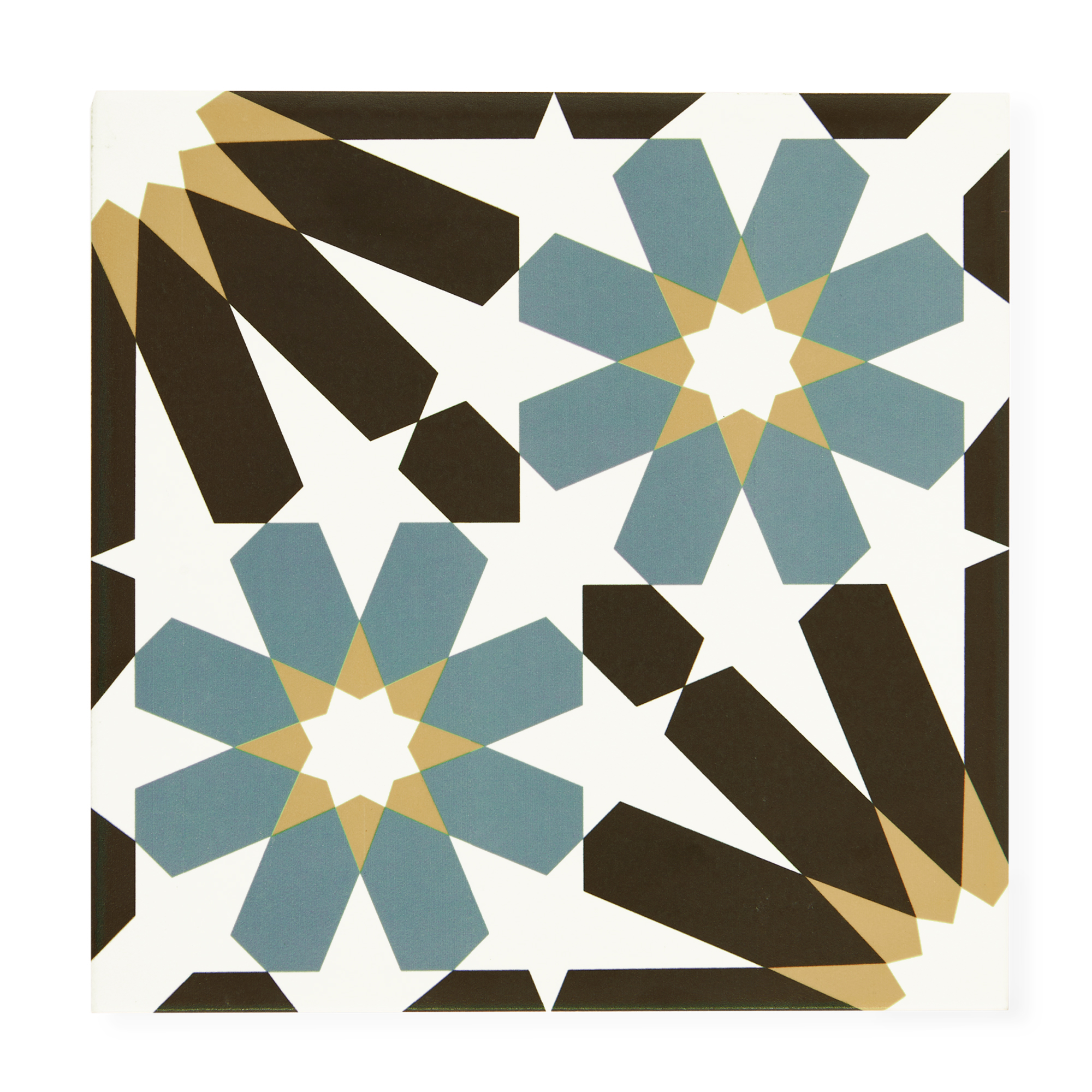 Sample: Big Erizo III - Ceramic Tile